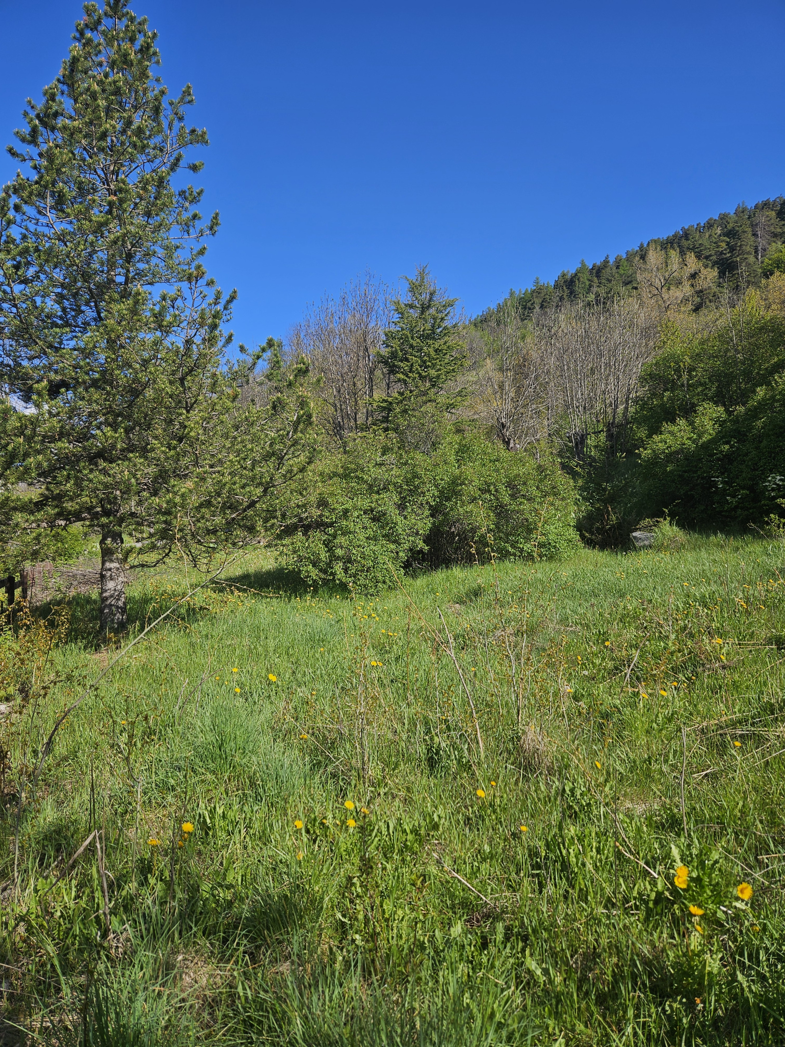 Image_8, Terrain, La Salle-les-Alpes, ref :183/05