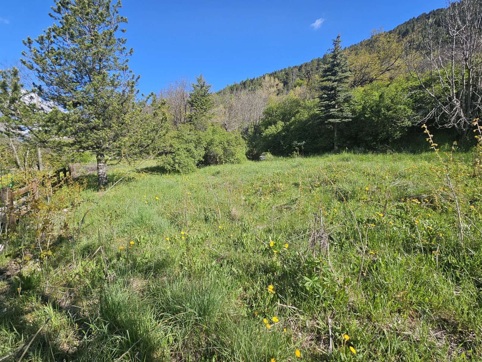 Image_2, Terrain, La Salle-les-Alpes, ref :183/05
