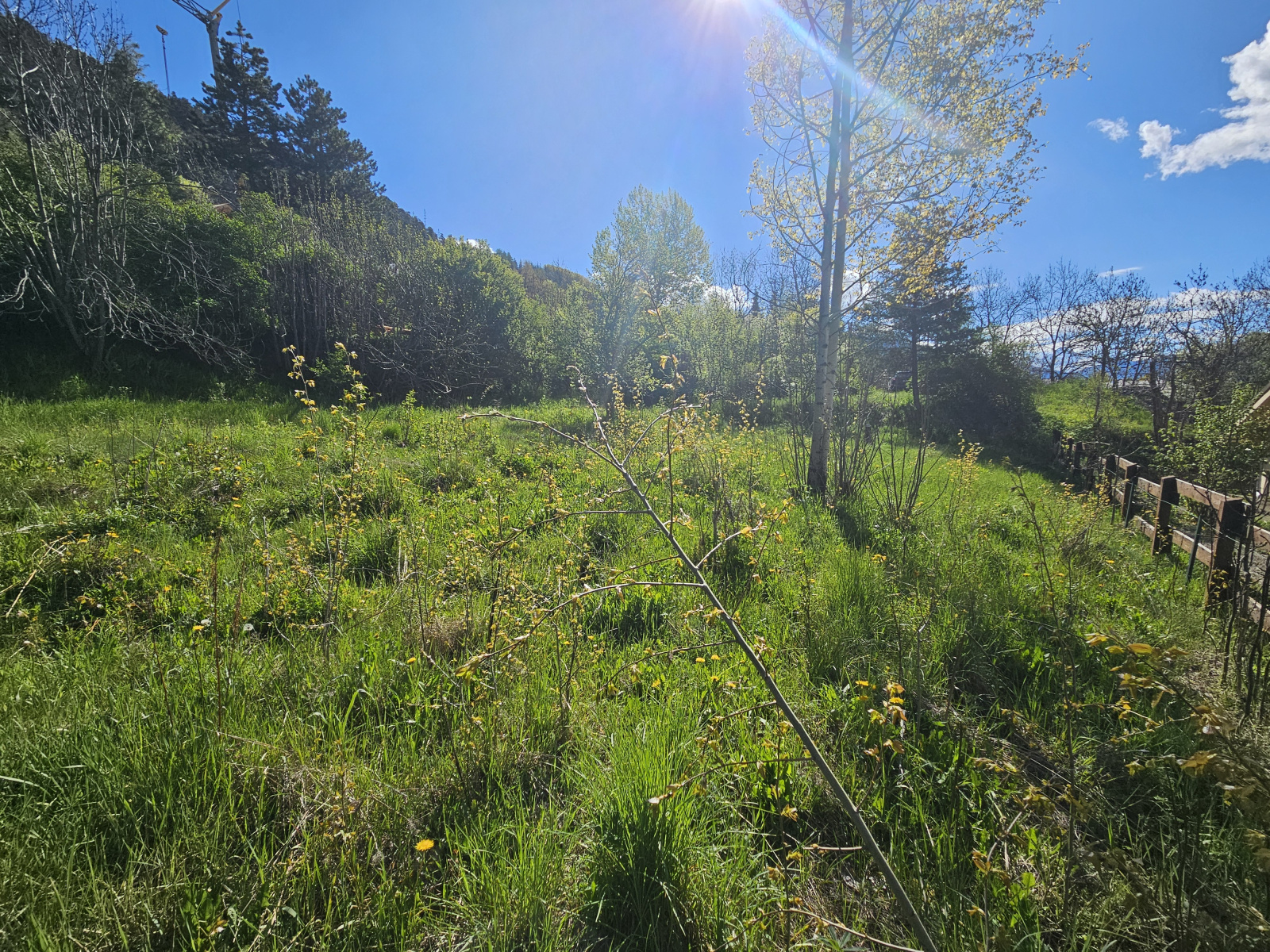 Image_6, Terrain, La Salle-les-Alpes, ref :183/05