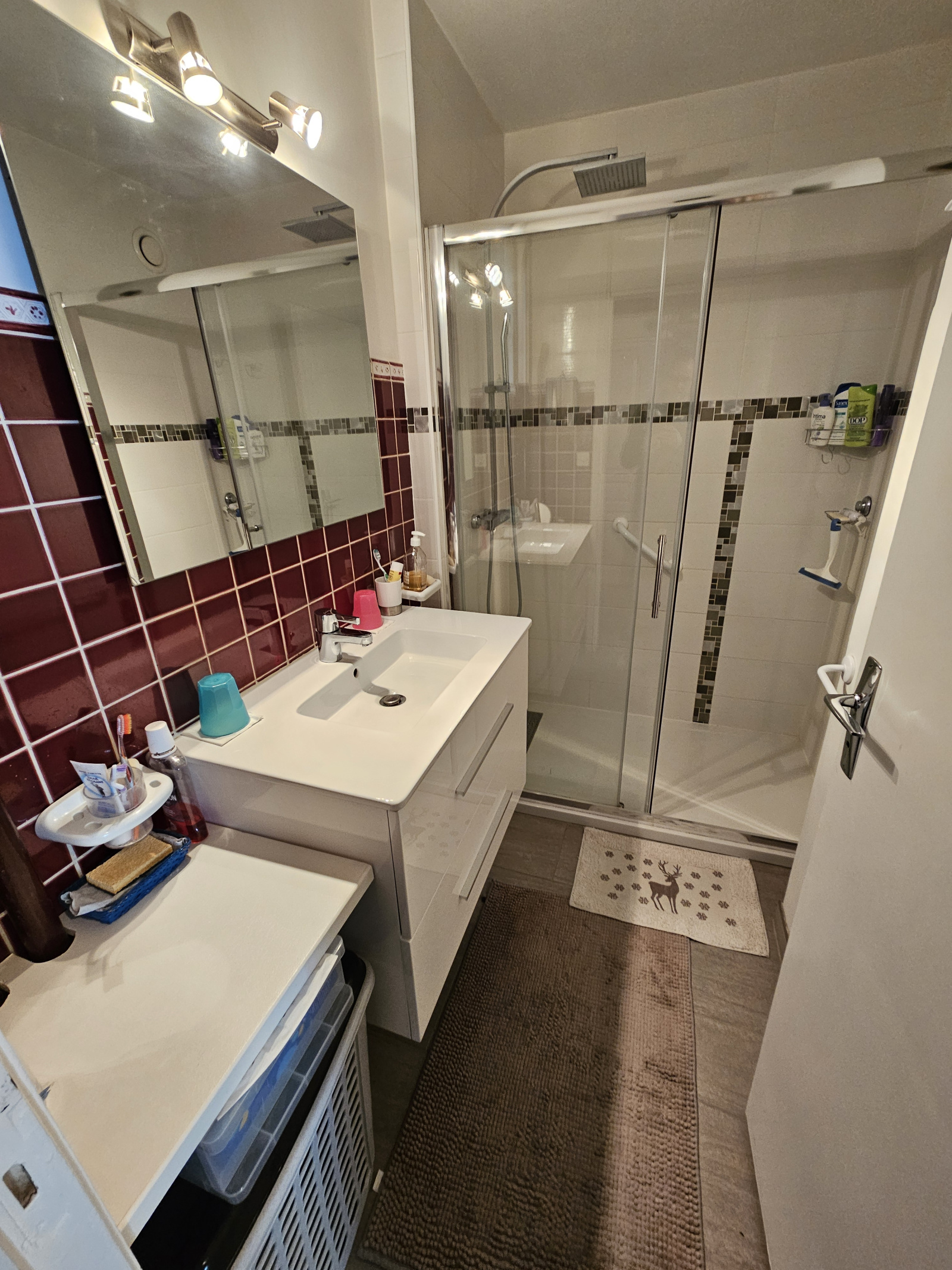 Image_11, Appartement, La Salle-les-Alpes, ref :223/05