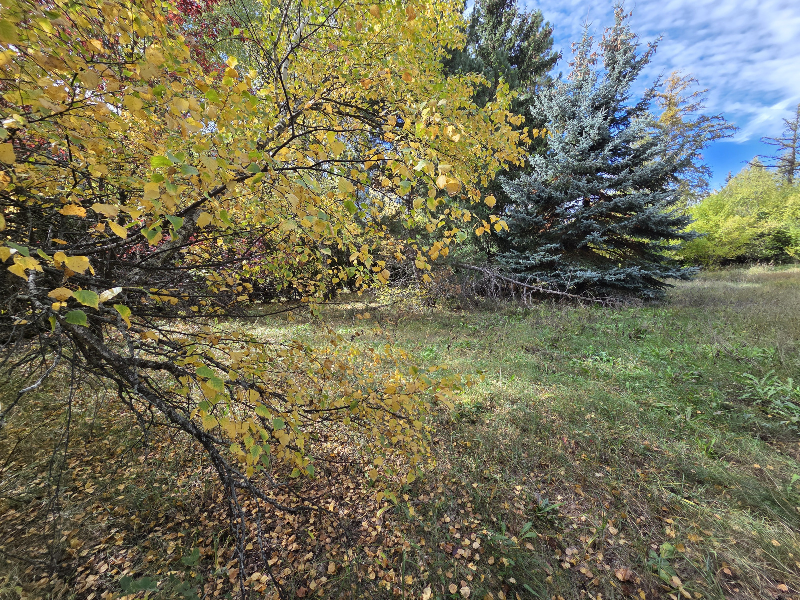 Image_4, Terrain, Serre chevalier, ref :270/10B