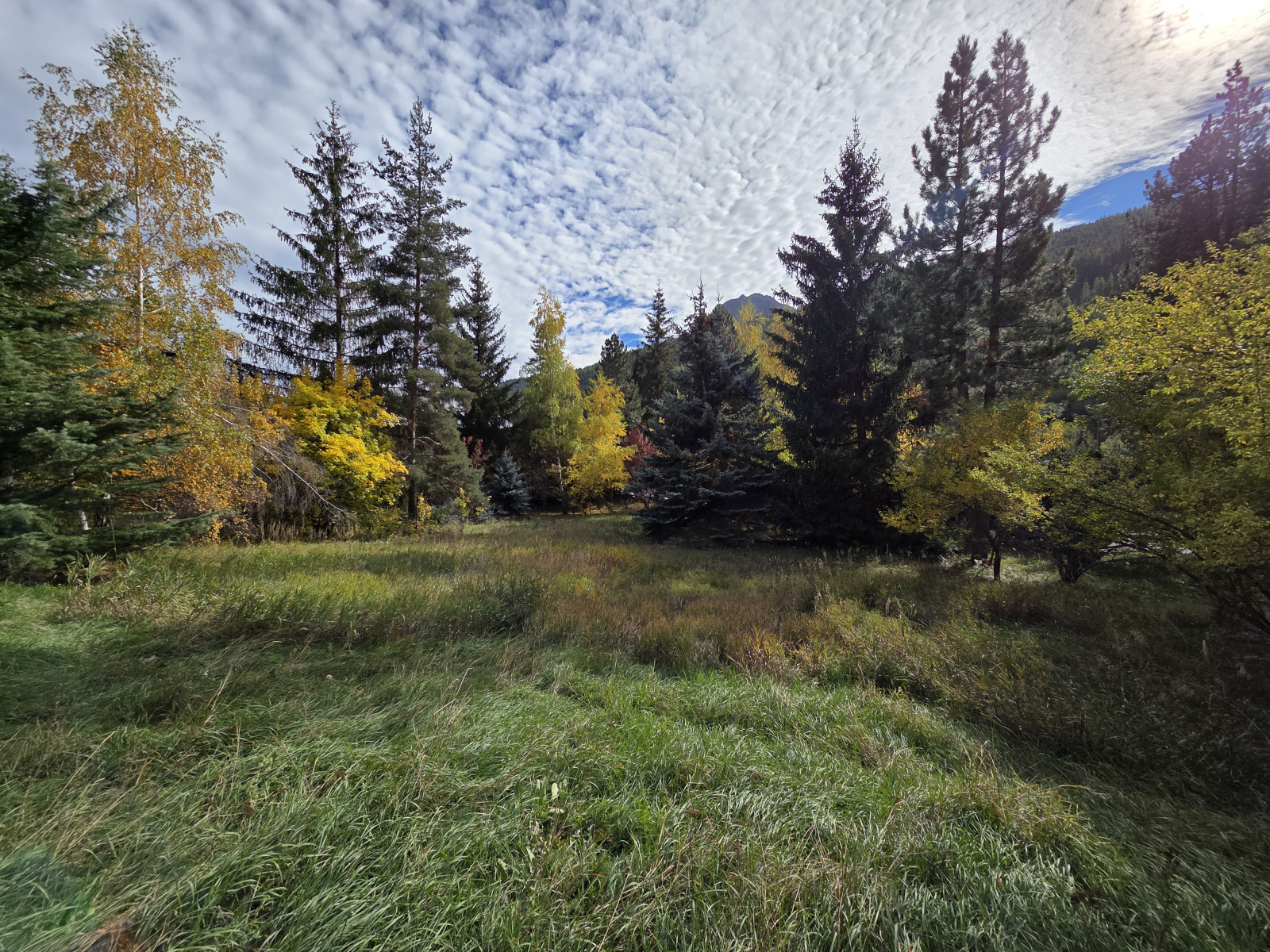 Image_1, Terrain, La Salle-les-Alpes, ref :270/10A