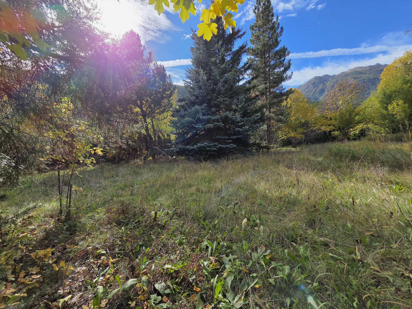 Image_2, Terrain, La Salle-les-Alpes, ref :270/10A